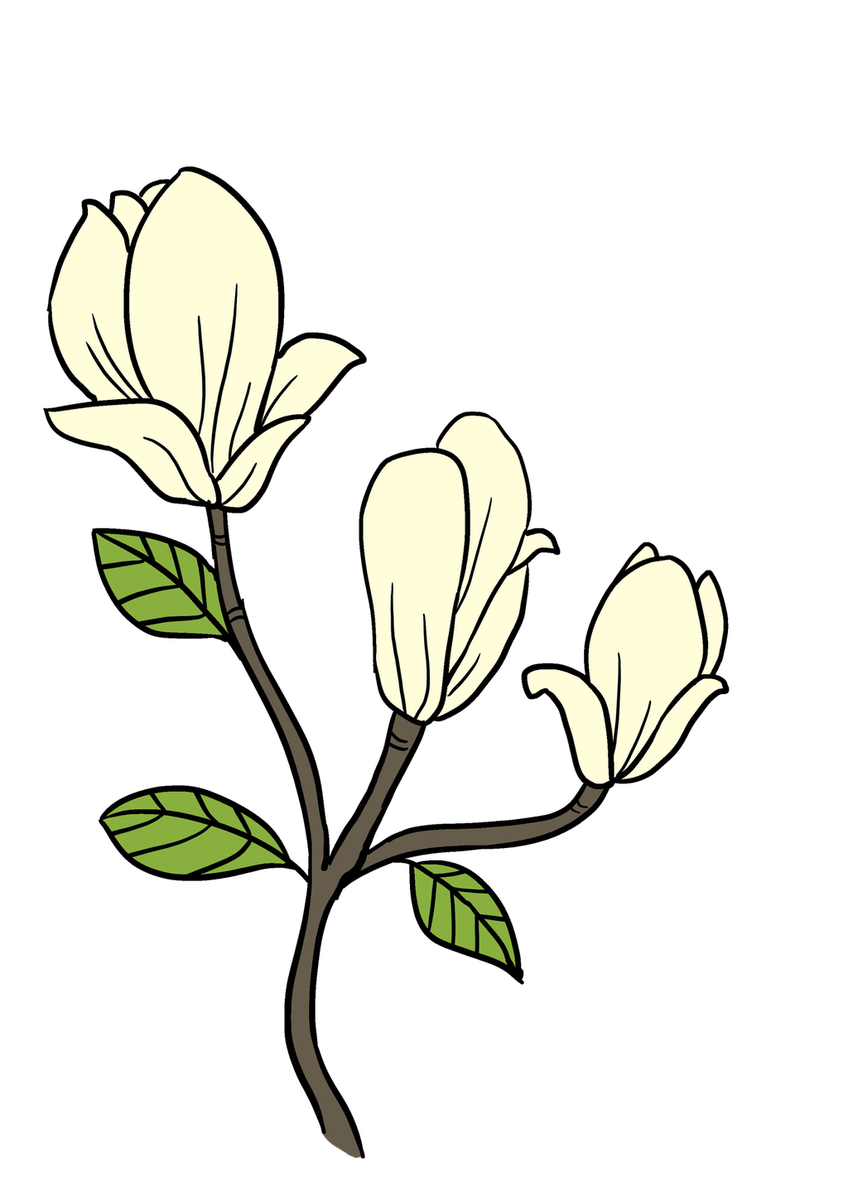 848x1200 Easy Drawing Guides On Twitter Learn To Draw Great Looking