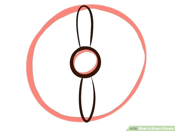 728x546 A Easy Flower To Draw How To Draw A Bell Flower Step