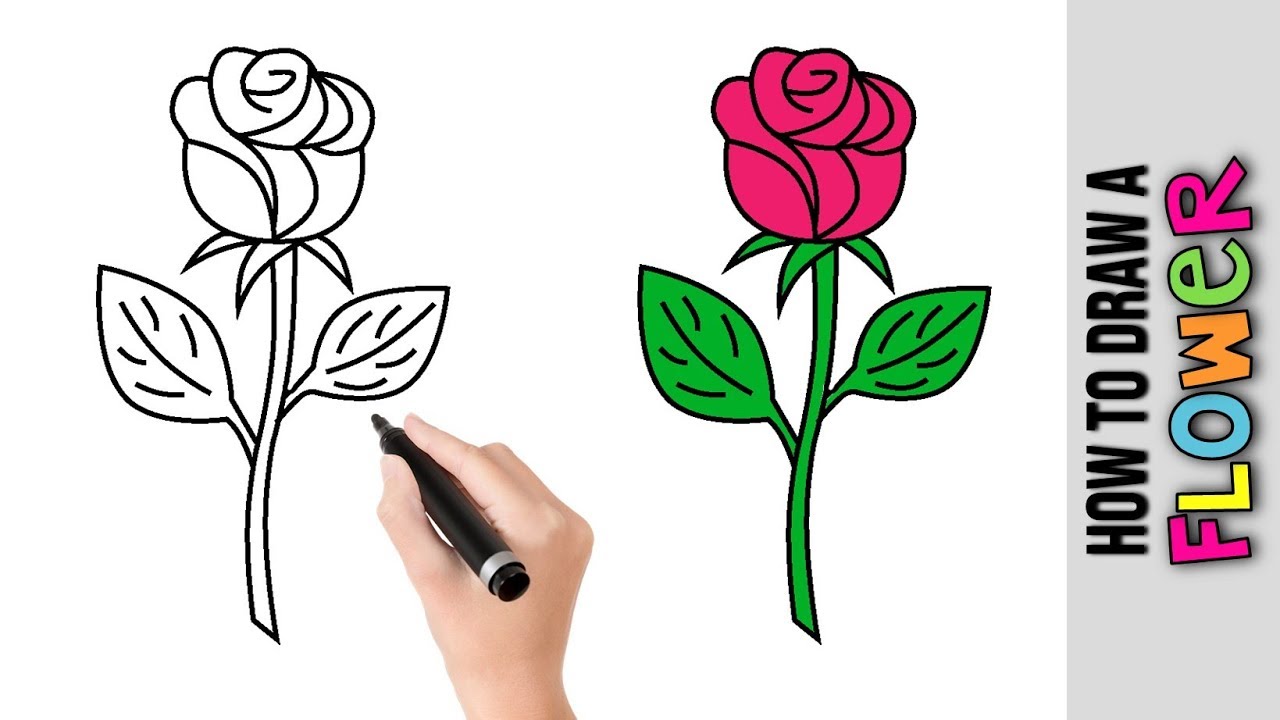 1280x720 How To Draw A Flower Easy Drawings Tutorial For Beginners