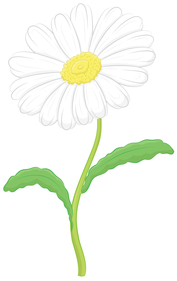 600x952 How To Draw A Daisy Step