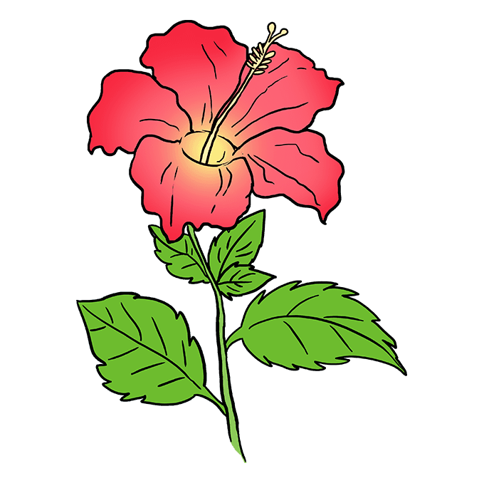 680x678 Ideas How To Draw A Hibiscus Really Easy Drawing Tutorial This