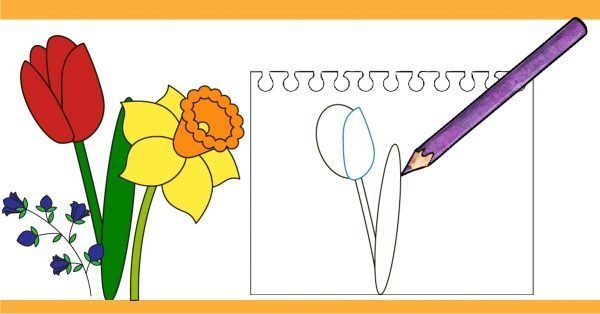 600x314 Learn How To Draw A Flower With An Easy Tutorial