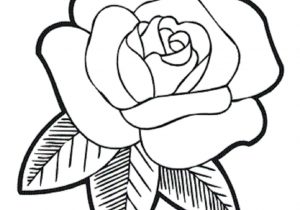 300x210 Simple Rose Flower Drawings How To Draw A Rose Flower Stepstep