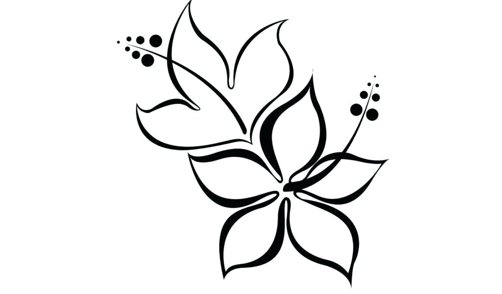 1024x600 Cool Flowers To Draw