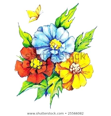 450x470 Drawing Of Flowers