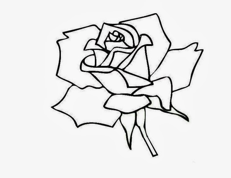 755x581 Colours Drawing Wallpaper Flower Drawing Colour Drawing Hd Wallpaper