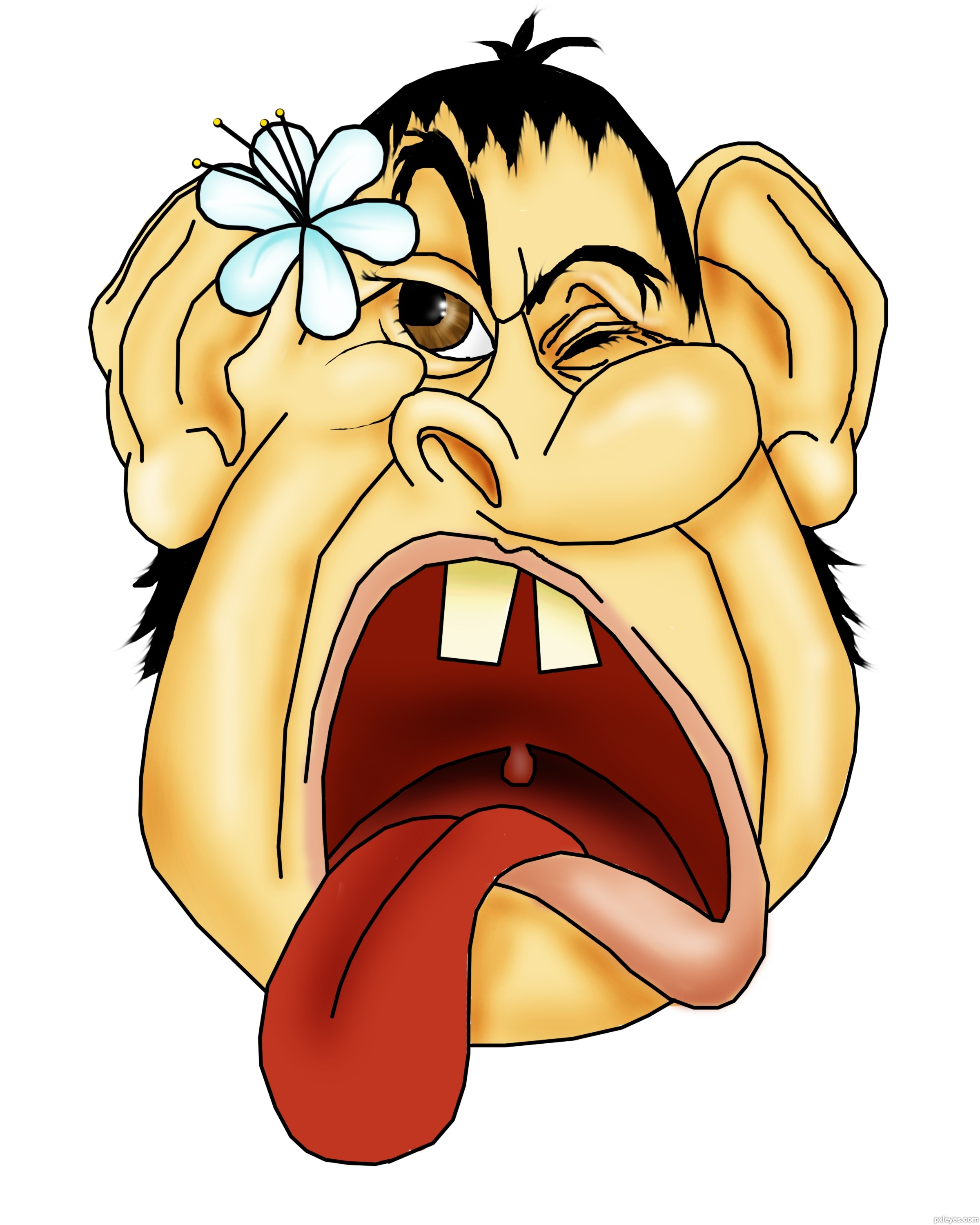 2400x3000 A Flower Picture