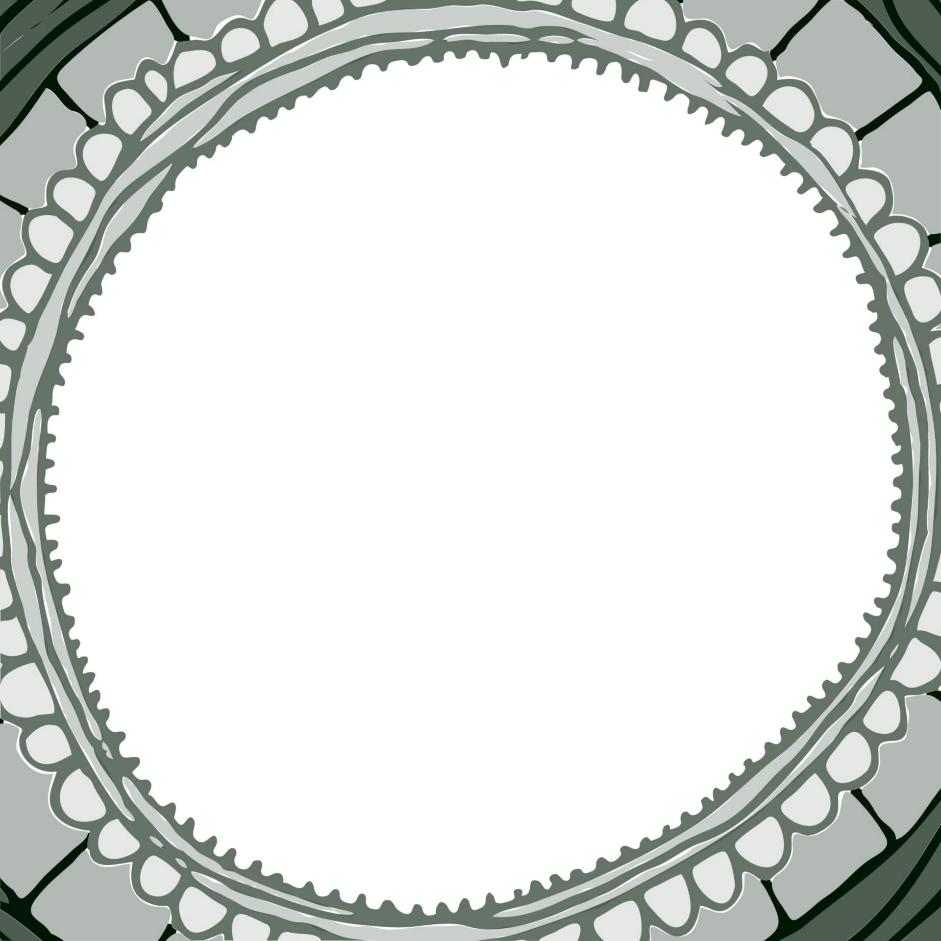 1920x1920 Drawing, Frame, Grey, Flower, Empty