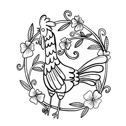 416x416 Rooster Drawing With Flower Frame, Isolated Illustration Premium