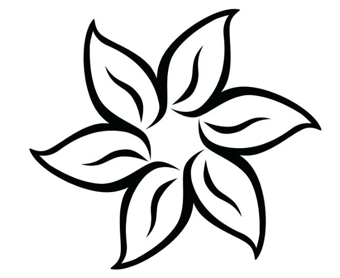 664x544 Flower Coloring Summer Flower Coloring