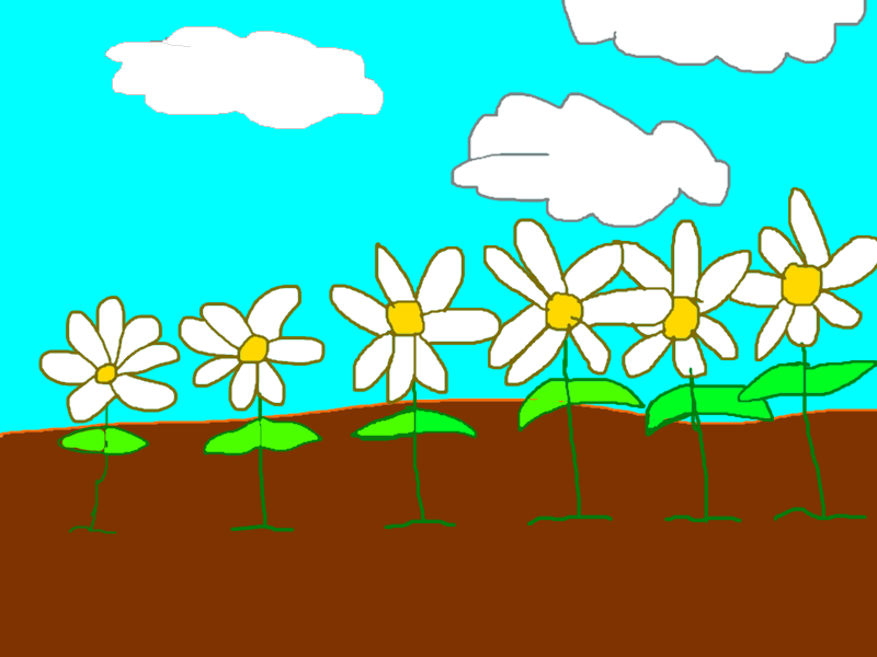 800x600 Flower Garden