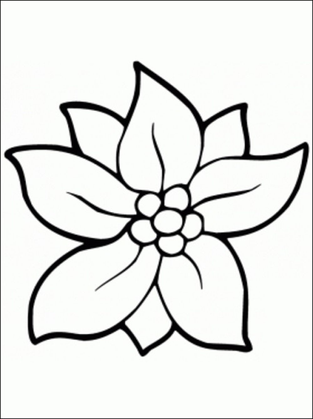 1000x1338 Simple Flower Drawing Colour