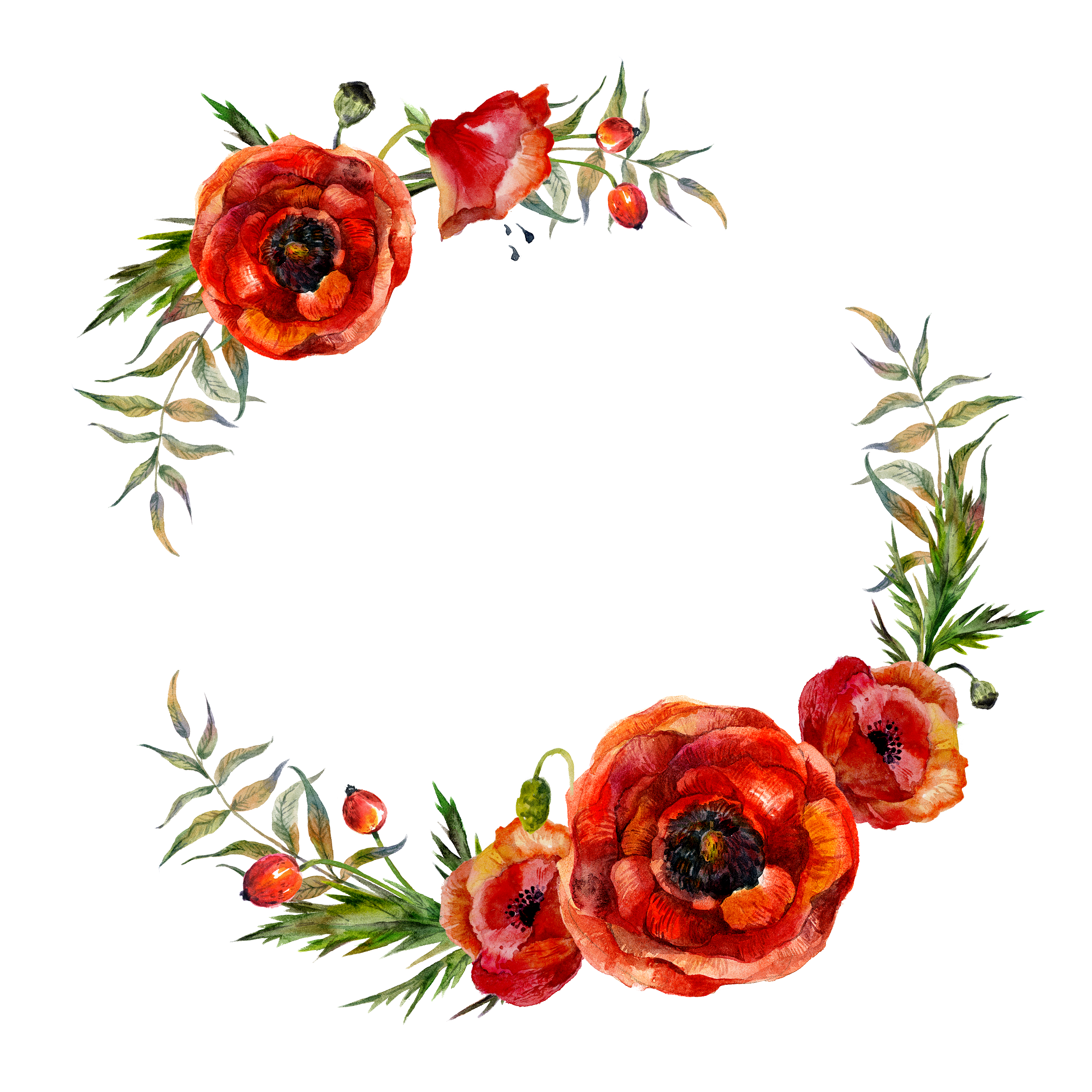5000x5000 Collection Of Free Poppy Drawing Wreath Download On Ui Ex