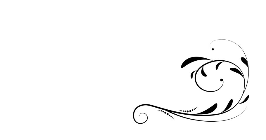 910x480 Flower Ornaments Vector Design Set Stock Footage Video