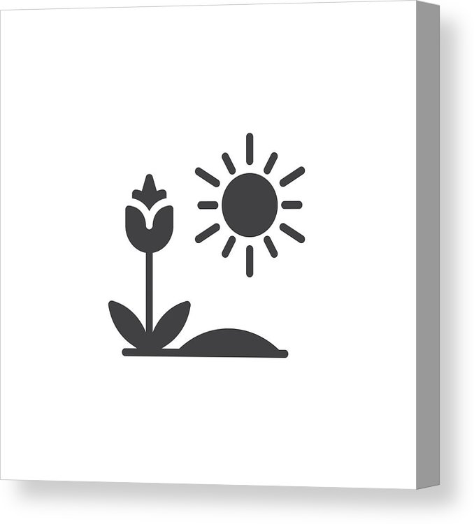 678x750 Growing Flower And Sun Vector Icon Canvas Print Canvas Art