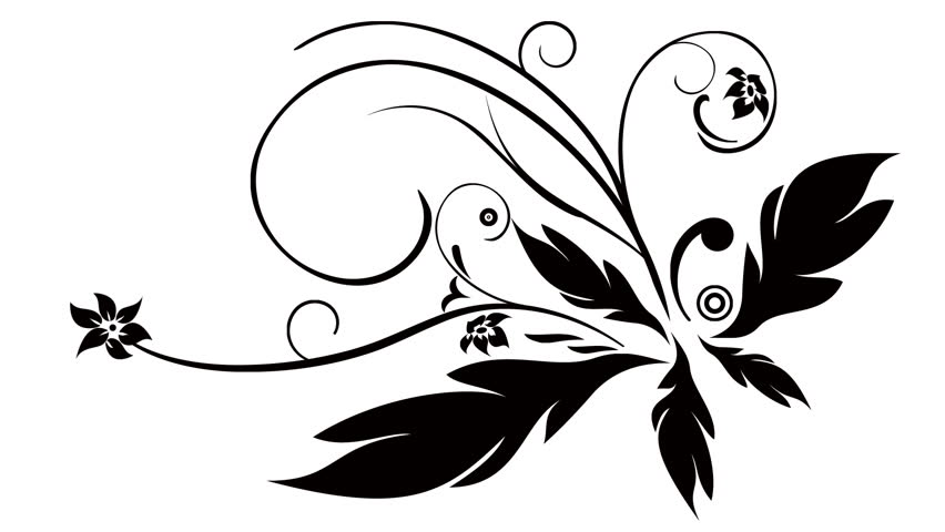 852x480 Growing Flower Ornament Vector Design Stock Footage Video