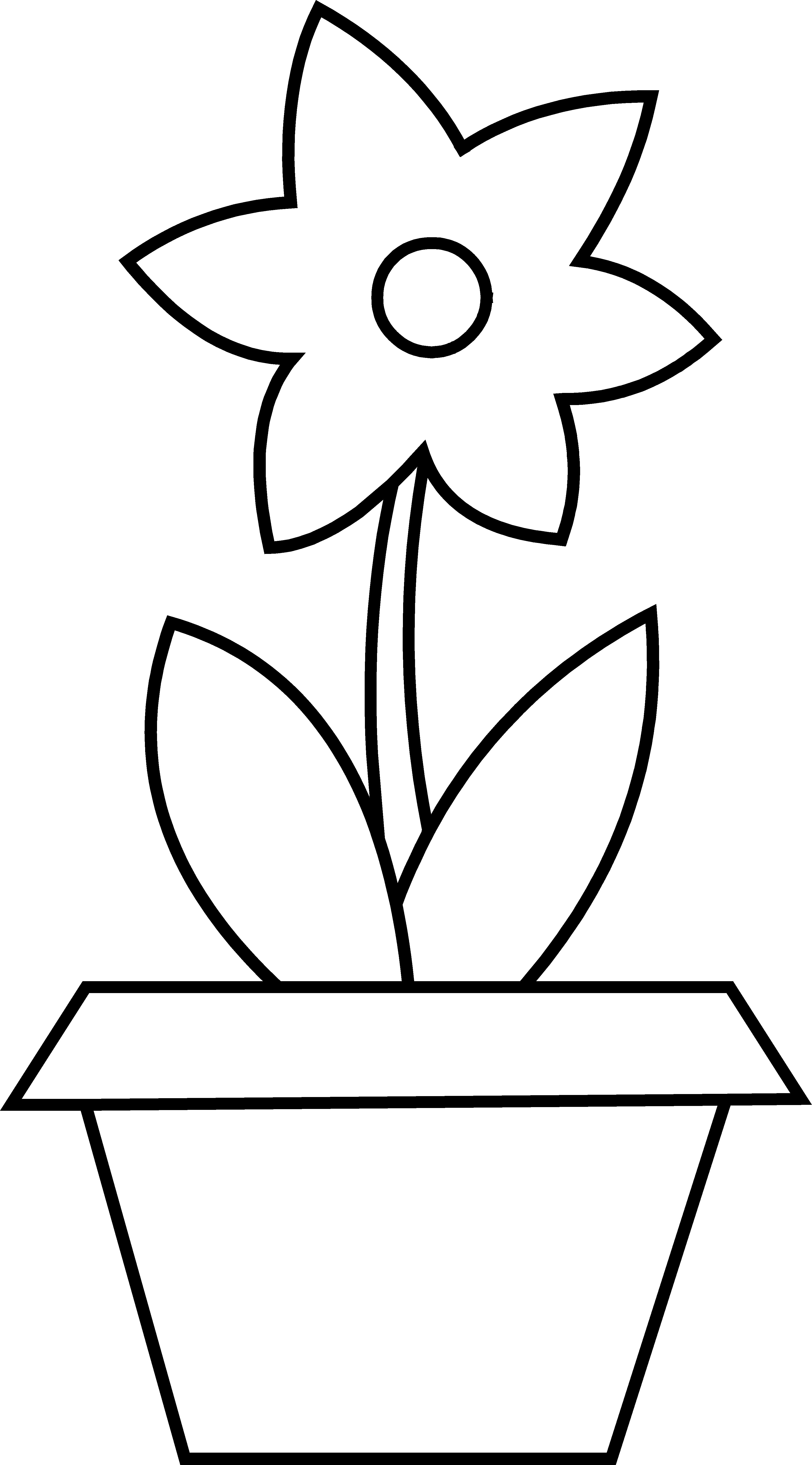 3547x6398 Flower Pot Coloring