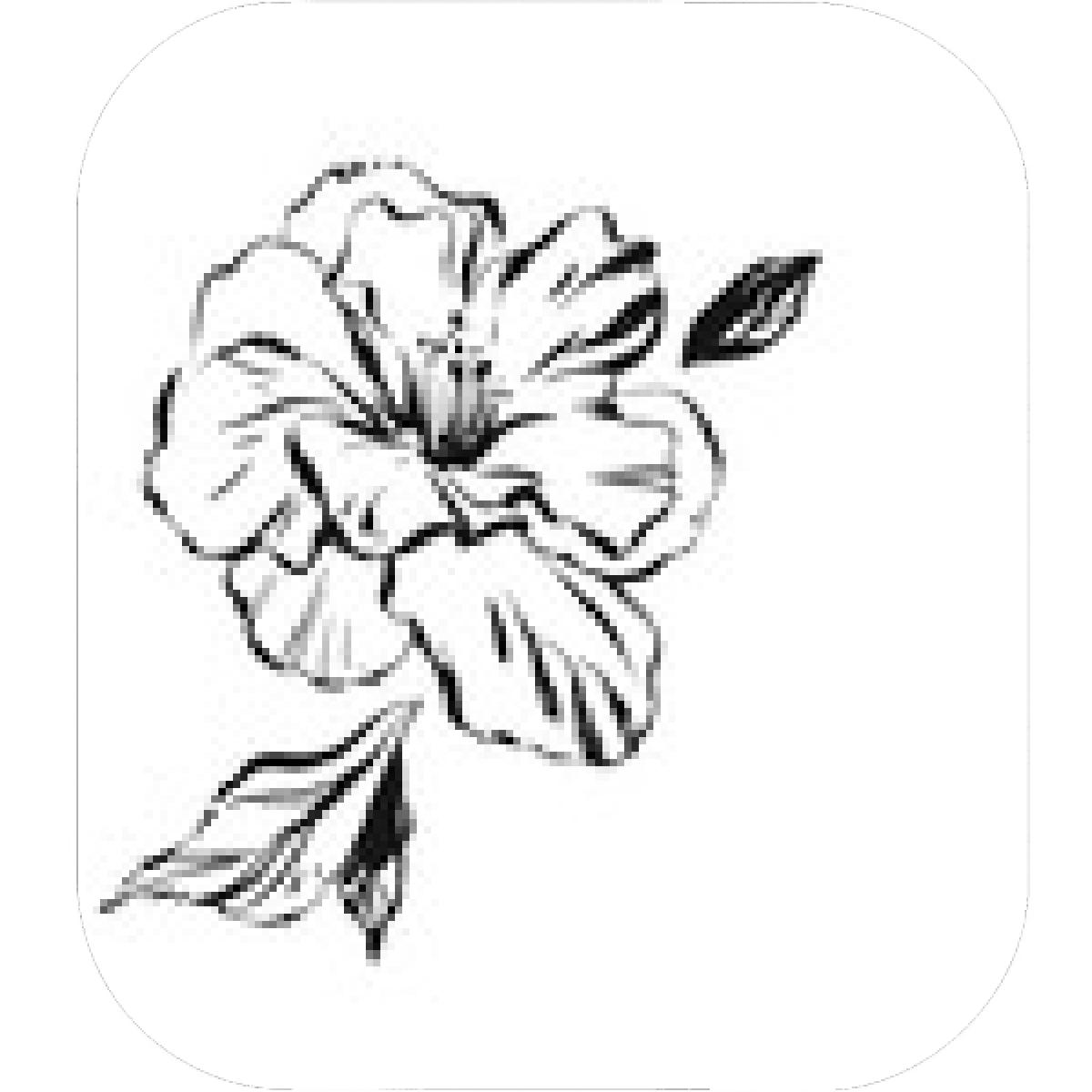 1200x1200 Designs Mein Mousepad Design Mousepad Selbst Designen