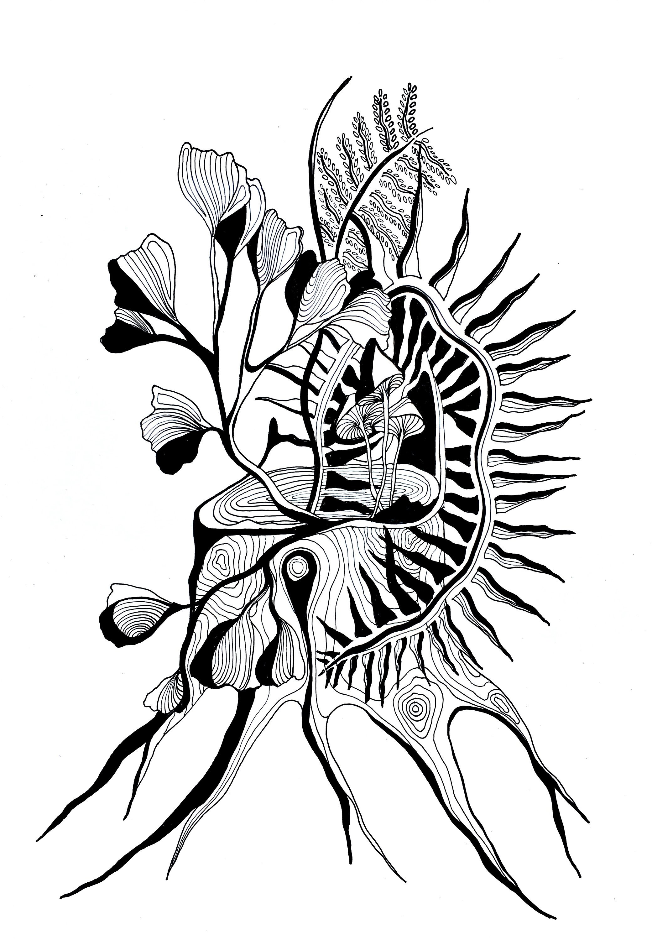 2081x3000 Ferns And Flowers Pen And Ink Drawing Mushrooms Black And Etsy