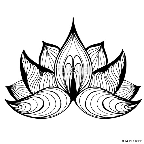500x500 Hand Drawn Abstract Lotus Flower Doodle Sketch, Black Ink Drawing