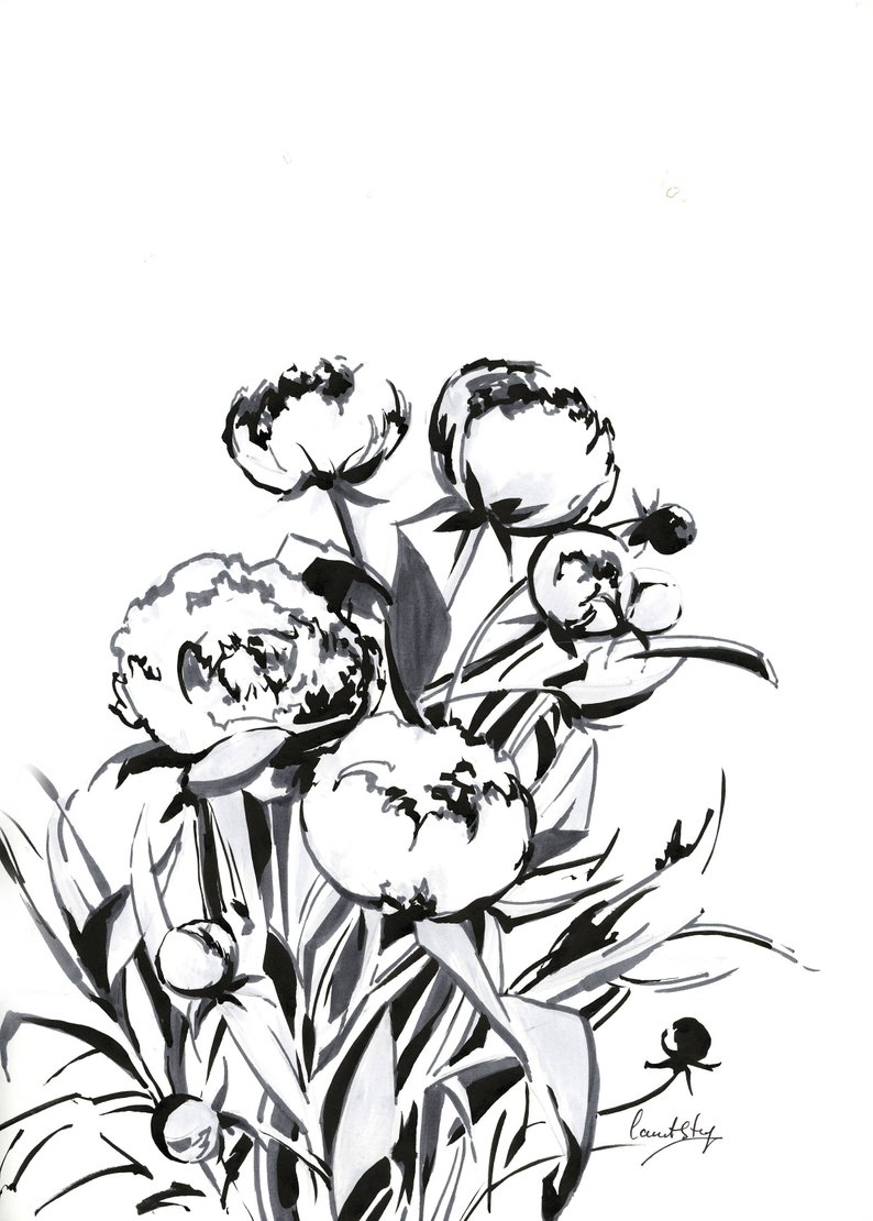 794x1110 peonies ink drawing original ink drawing flowers black and etsy
