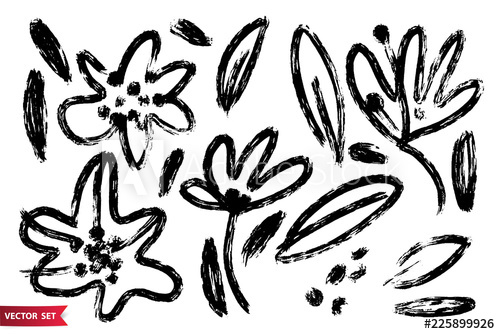 500x334 Vector Set Of Ink Drawing Flowerss, Seeds Stems And Leaves
