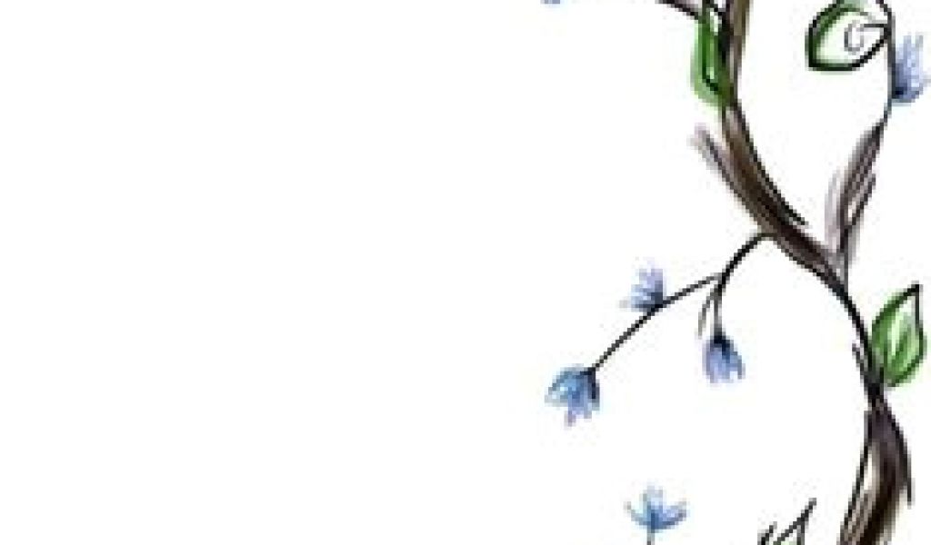 1024x600 Drawings Of Flowers Leaves And Vines Drawings Of Flowers Leaves