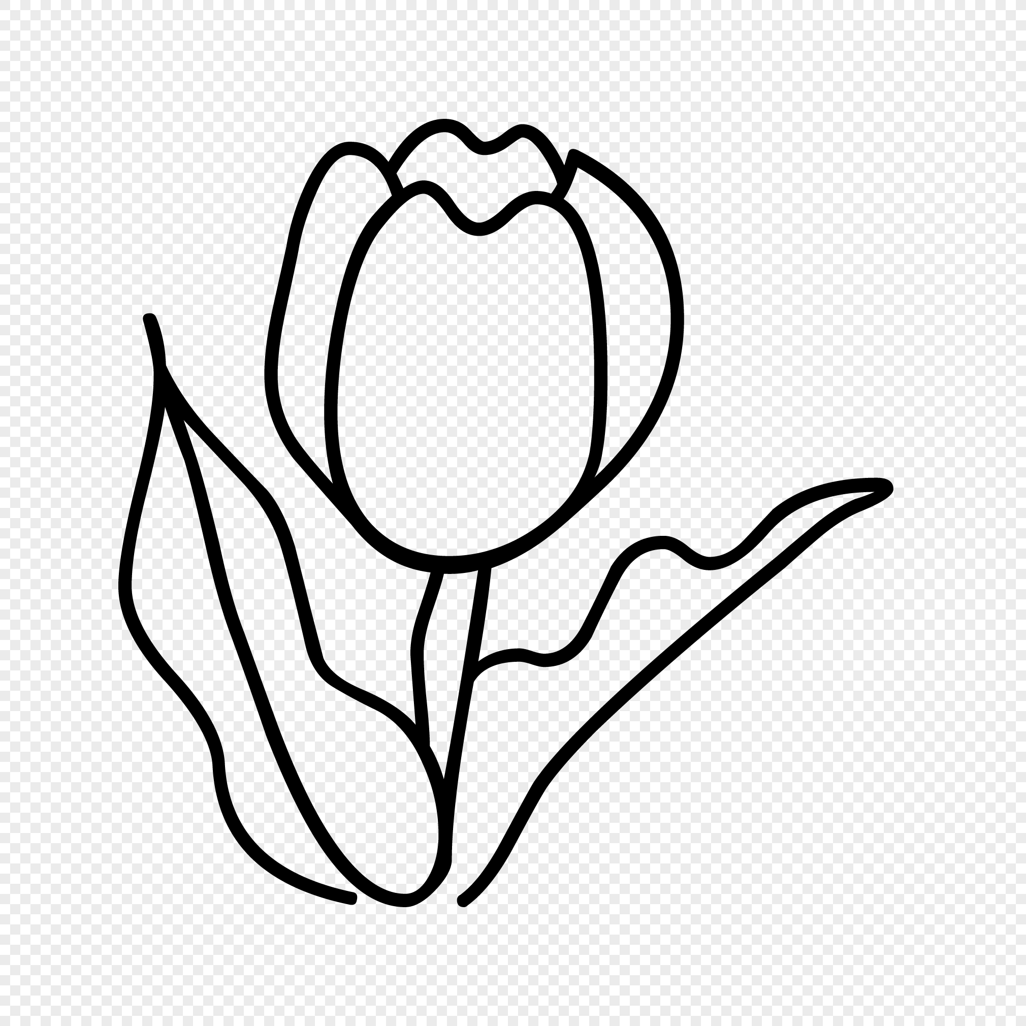 2020x2020 Flower With Leaves Drawing