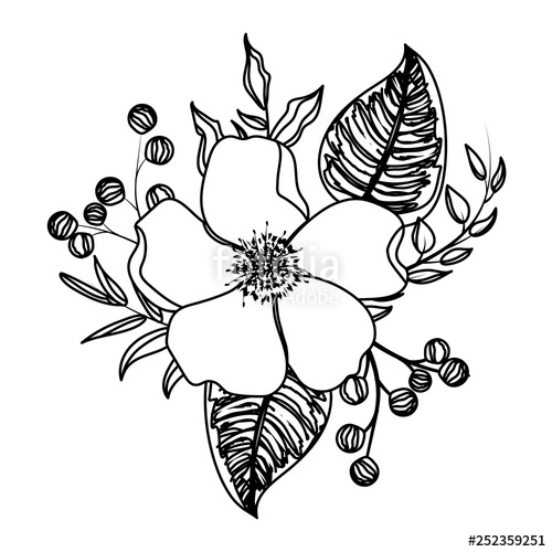 500x500 Flower With Leaves Drawing Stock Image And Royalty Free Vector