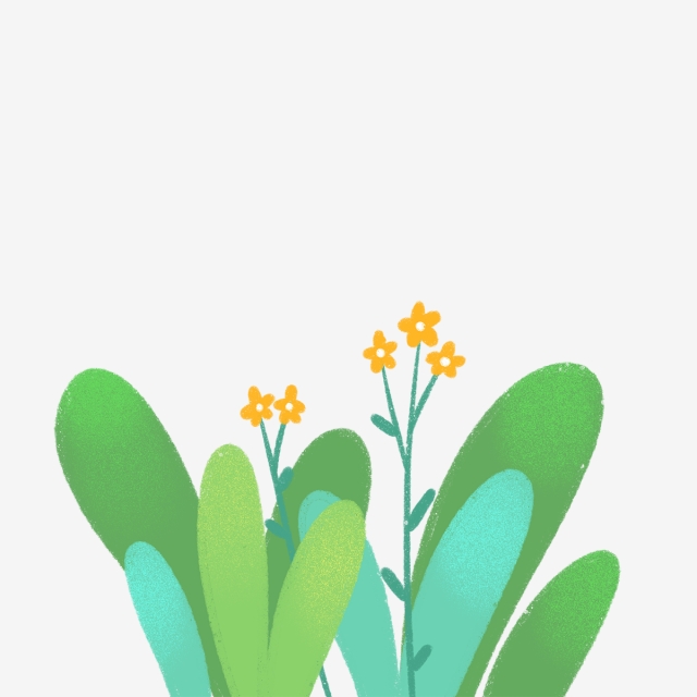 640x640 hand drawn small flowers and leaves, drawing, nature, hand drawn