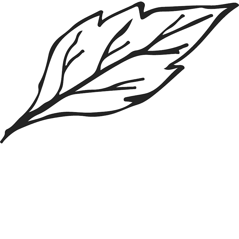 800x800 Leaf Sketch Rubber Stamp Flower Leaf Stamps Stamptopia