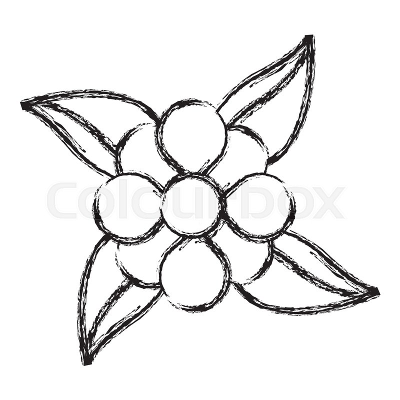 800x800 Sketch Flower Leaves Natural Stock Vector Colourbox