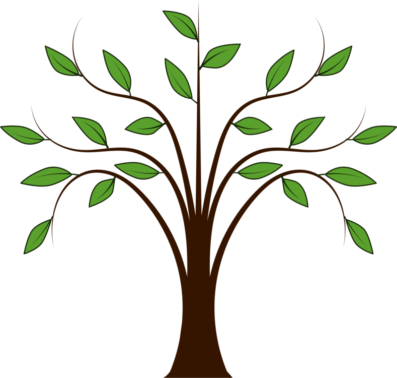 789x750 Trees And Leaves Download Branch Drawing Cc0