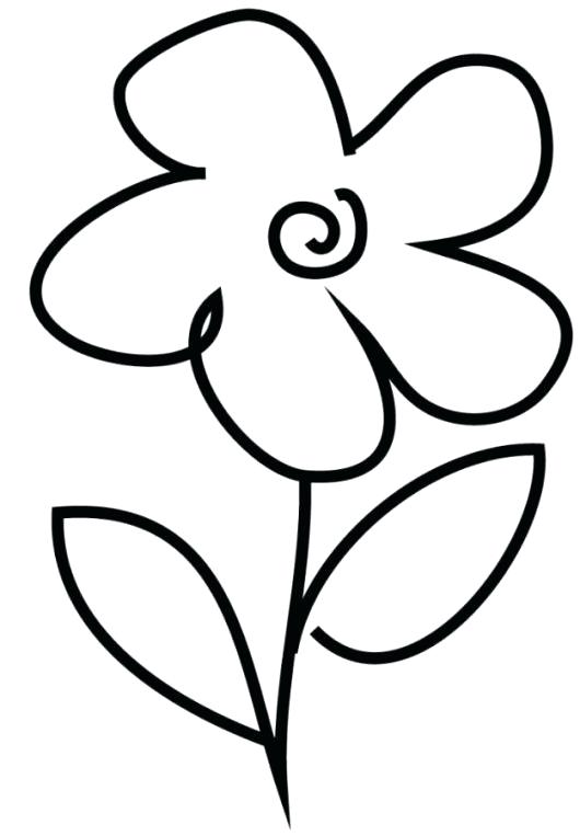 530x763 Flower Drawing Clipart Best Flower Drawings Ideas Rose Flower