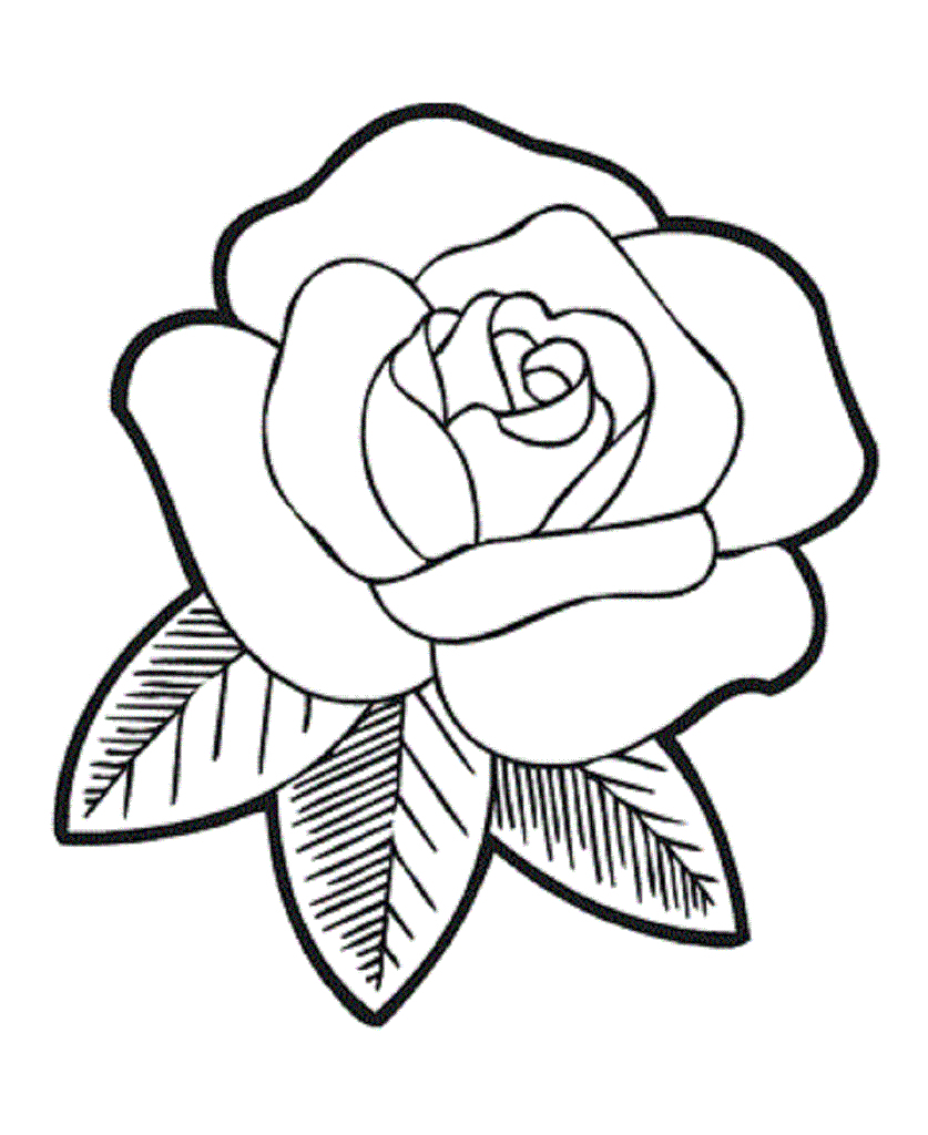 837x1024 Roses Flower Drawing Rose Flower Line Drawing At Getdrawings