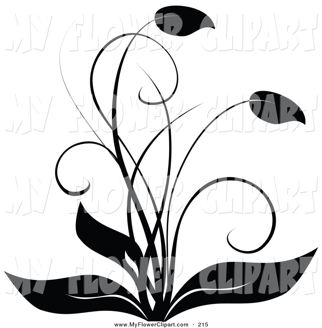 1024x1044 Flower Line Drawing Clip Art Free Black And White