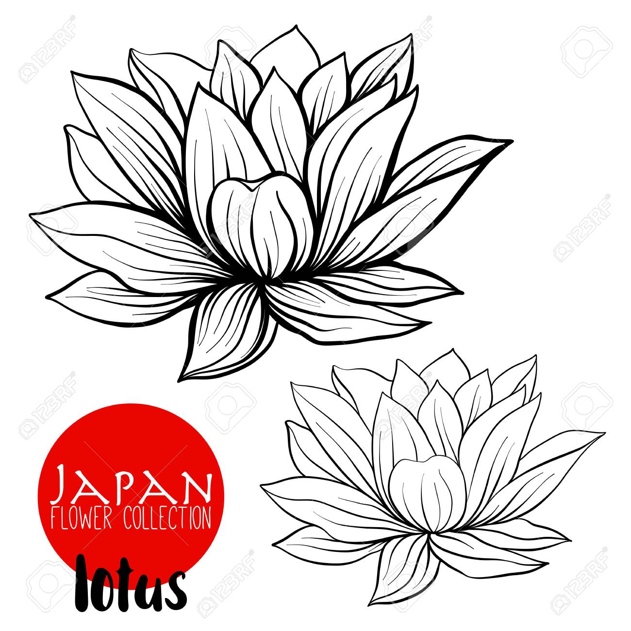 1300x1300 Huge Collection Of 'lotus Flower Drawing Outline' Download More