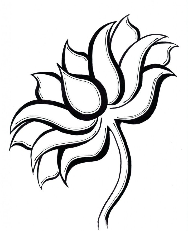 791x973 Lotus Flower Line Drawing Clipart