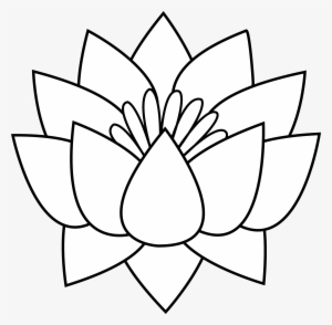 300x294 White Flower Png, Free Hd White Flower Transparent Image