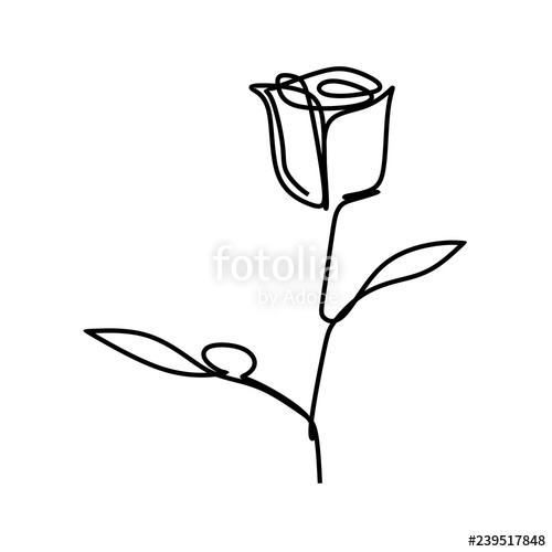 500x500 One Line Art Of Rose Flower Minimal Style Vector Illustration