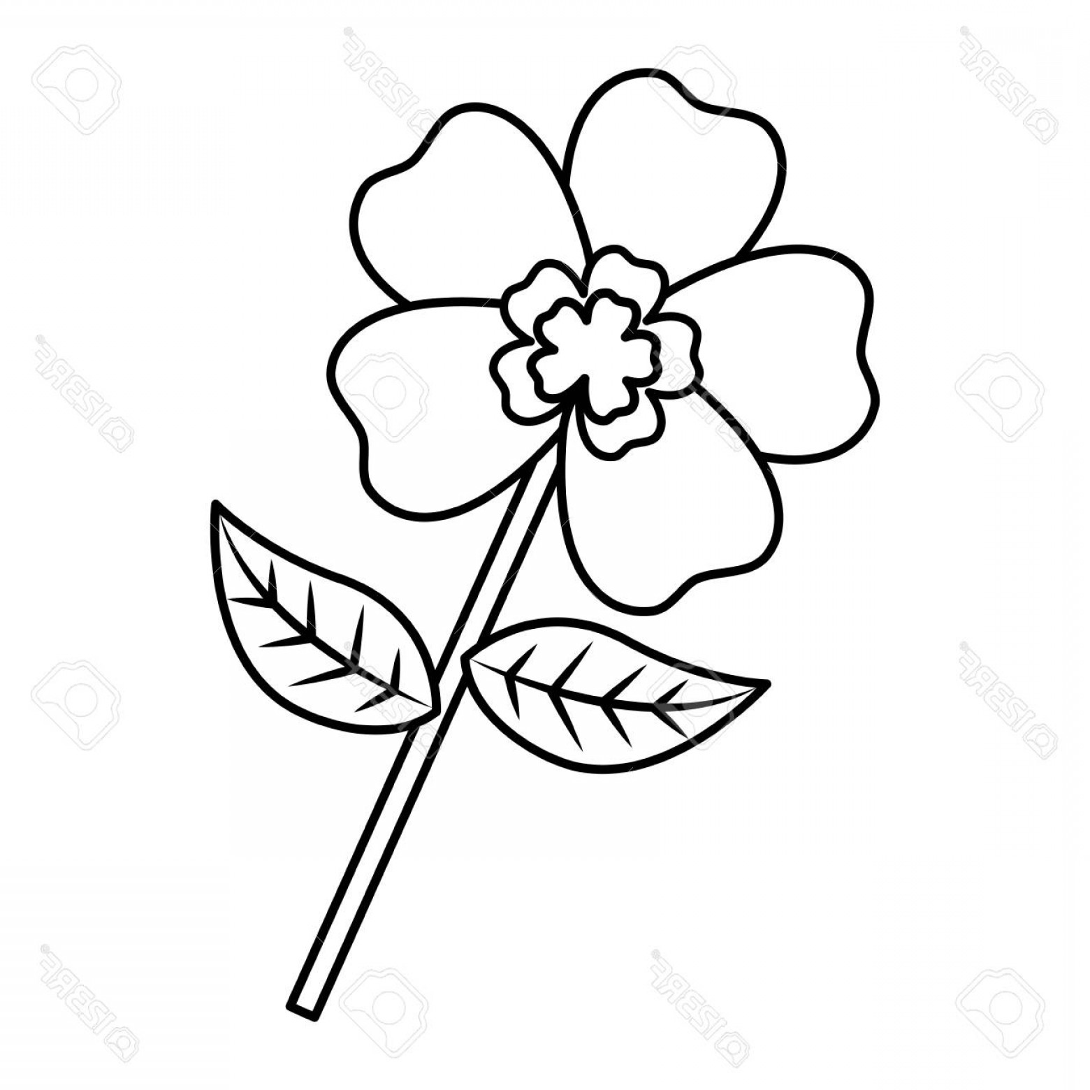 1560x1560 Vector Flower Stem Design Soidergi