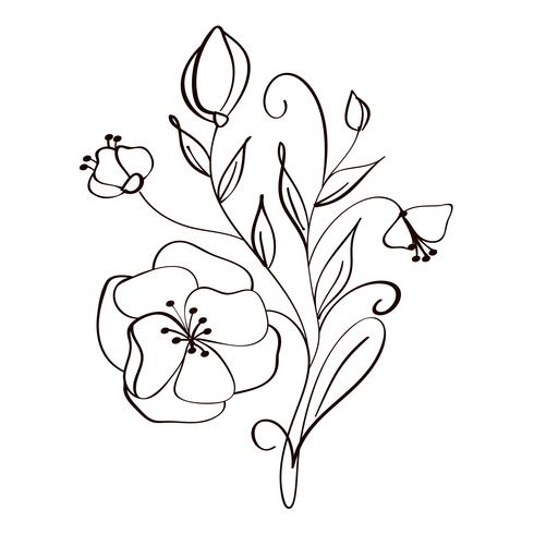 490x490 Modern Flowers Drawing And Sketch Floral With Line Art Isolated