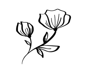 300x250 Vector Line Art Design Flowers Royalty Free Vectors