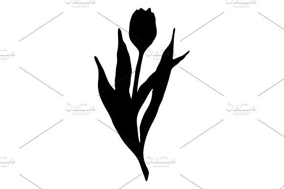 580x386 Black Tulip Flower Line Art Vector Romantic Design Black Tulip