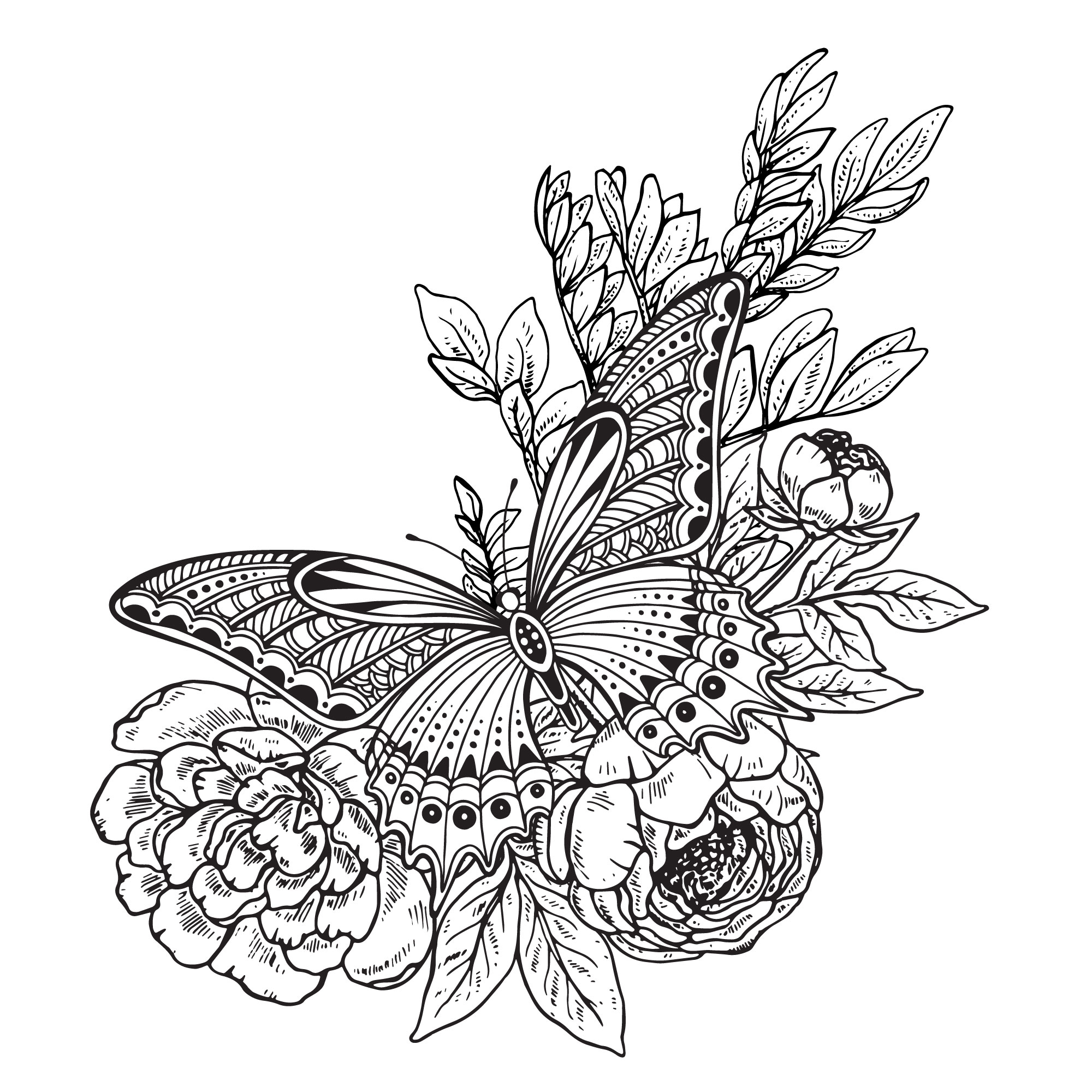 2000x2000 Butterfly Flowers Decor Drawing Vector