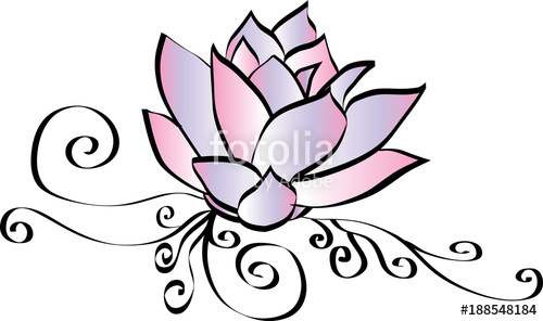 500x296 Elegant Pink Lotus Flower Drawing Stock Image And Royalty Free
