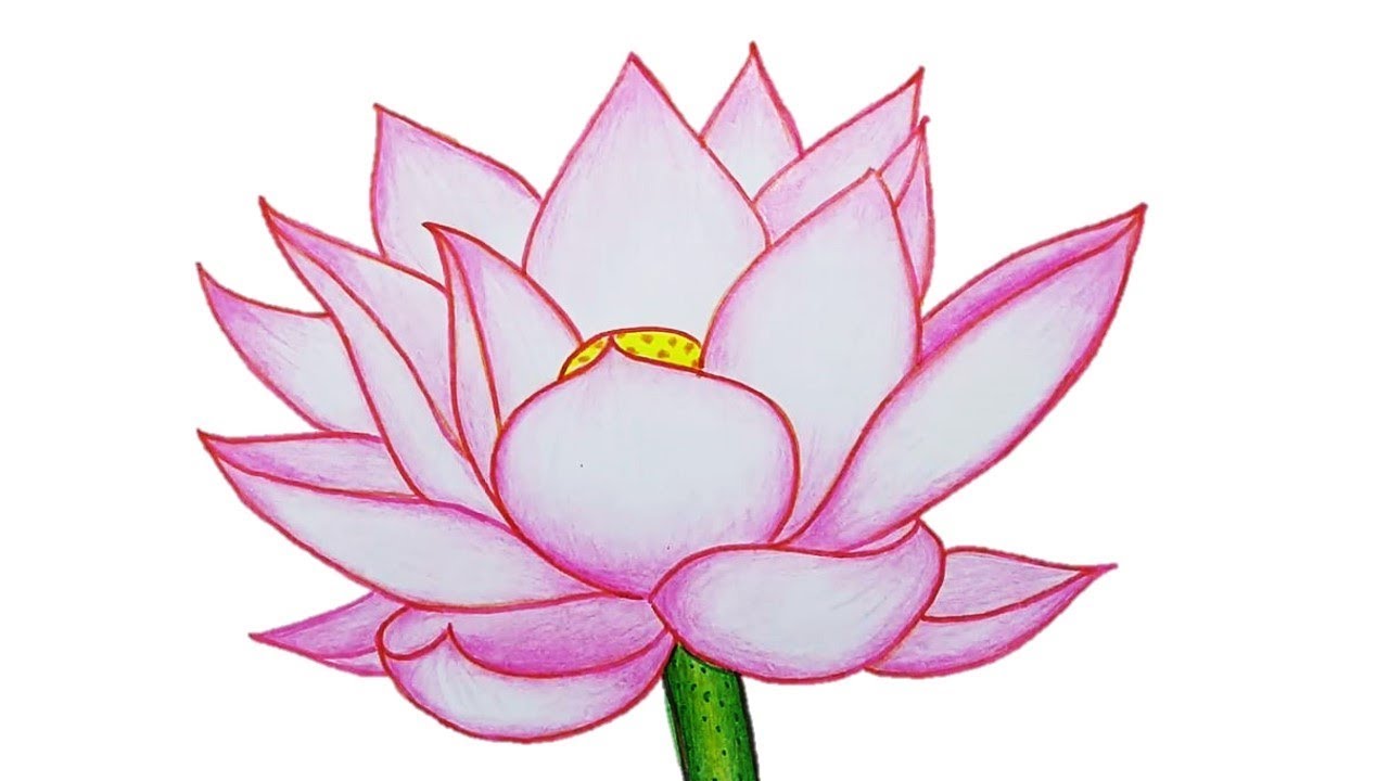 1280x720 How To Draw Lotus Flower Step