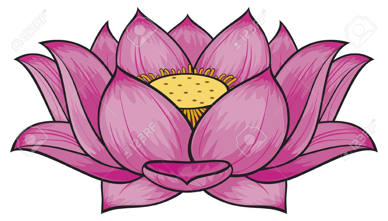 1300x742 Huge Collection Of 'lotus Flower Drawing Color' Download More