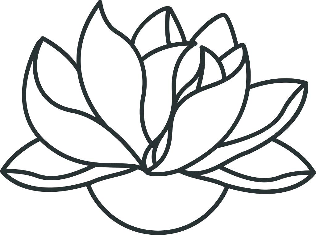 1024x761 draw lotus lotus drawing easy to draw lotus flower