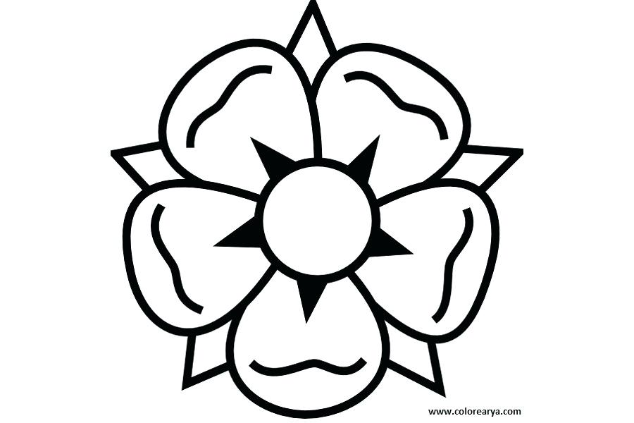 900x600 Flower Drawin Flower Drawing Creative Flower Drawings Tumblr